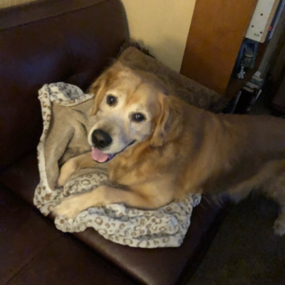 Meet your Posher, Alexandra